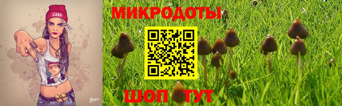 Галлюциногенные грибы Cubensis Нижневартовск